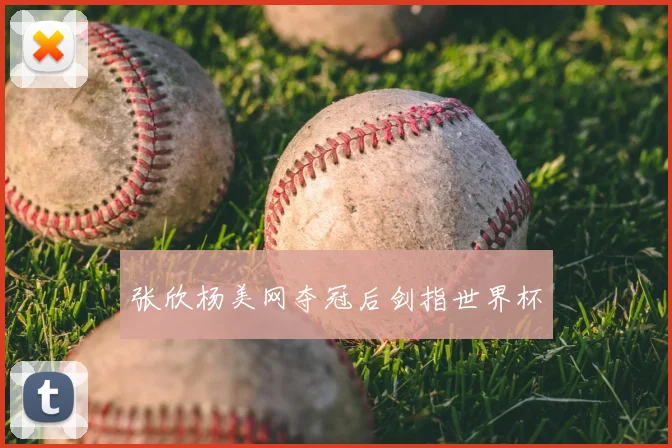 张欣杨美网夺冠后剑指世界杯